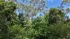 80 Tooloom Street, Legume NSW 2476-Image