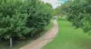 80 Tooloom Street, Legume NSW 2476-Image