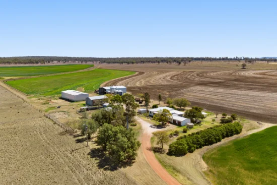818 Dungannon Road, Clifton, Qld 4361