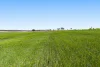 818 Dungannon Road, Clifton, Qld 4361-Image