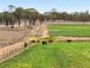 818 Dungannon Road, Clifton, Qld 4361-Image