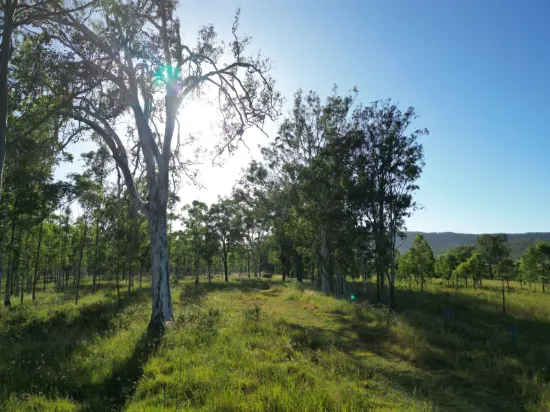 82, Lobegeiger Rd, Moorang, Qld 4340