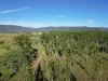 82, Lobegeiger Rd, Moorang, Qld 4340-Image