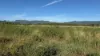 82, Lobegeiger Rd, Moorang, Qld 4340-Image