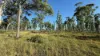 82, Lobegeiger Rd, Moorang, Qld 4340-Image