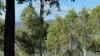 82, Lobegeiger Rd, Moorang, Qld 4340-Image