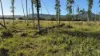 82, Lobegeiger Rd, Moorang, Qld 4340-Image