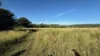 82, Lobegeiger Rd, Moorang, Qld 4340-Image