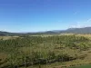 82, Lobegeiger Rd, Moorang, Qld 4340-Image