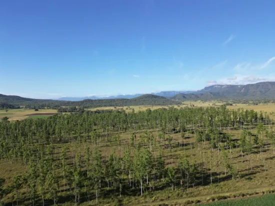 82, Lobegeiger Rd, Moorang, Qld 4340-Image