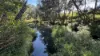 82, Lobegeiger Rd, Moorang, Qld 4340-Image