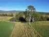 82, Lobegeiger Rd, Moorang, Qld 4340-Image