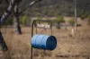 823 Eulourie Road, Bingara, NSW 2404