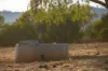 823 Eulourie Road, Bingara, NSW 2404-Image