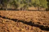 823 Eulourie Road, Bingara, NSW 2404-Image
