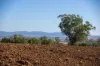 823 Eulourie Road, Bingara, NSW 2404-Image