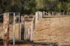 823 Eulourie Road, Bingara, NSW 2404-Image