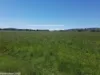 823 Eulourie Road, Bingara, NSW 2404-Image