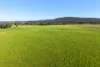 828 Sheep Station Road, Cowra, NSW 2794-Image