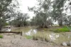 83 Gribben Road, Invergordon VIC 3636-Image