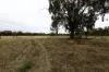 83 Gribben Road, Invergordon VIC 3636-Image