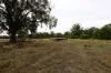 83 Gribben Road, Invergordon VIC 3636-Image