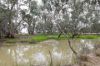 83 Gribben Road, Invergordon VIC 3636-Image