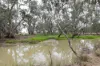 83 Gribben Road, Invergordon VIC 3636-Image