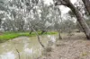 83 Gribben Road, Invergordon VIC 3636-Image