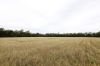 83 Gribben Road, Invergordon VIC 3636-Image