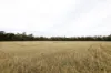 83 Gribben Road, Invergordon VIC 3636-Image