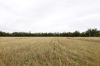 83 Gribben Road, Invergordon VIC 3636-Image