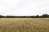 83 Gribben Road, Invergordon VIC 3636-Image