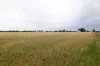 83 Gribben Road, Invergordon VIC 3636-Image
