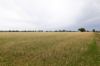 83 Gribben Road, Invergordon VIC 3636-Image