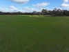 83 Tarnagulla-Eddington Road, Waanyarra, Vic 3551-Image