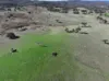 83 Yass Valley Way, Yass, NSW 2582-Image