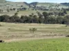 83 Yass Valley Way, Yass, NSW 2582-Image