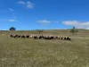 83 Yass Valley Way, Yass, NSW 2582-Image