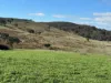 83 Yass Valley Way, Yass, NSW 2582-Image