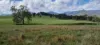 8314 Smiths Creek Station, Kempsey, NSW 2440-Image