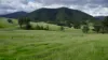 8314 Smiths Creek Station, Kempsey, NSW 2440-Image
