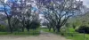 8314 Smiths Creek Station, Kempsey, NSW 2440-Image