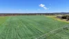 843 Herbert River Road, Innot Hot Springs, Qld 4872-Image