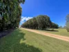 843 Herbert River Road, Innot Hot Springs, Qld 4872-Image