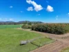 843 Herbert River Road, Innot Hot Springs, Qld 4872-Image