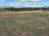 86 Hunts Crossing Road, Parkes, NSW 2870-Image