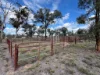 86 Hunts Crossing Road, Parkes, NSW 2870-Image