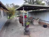 86 Hunts Crossing Road, Parkes, NSW 2870-Image