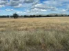 86 Hunts Crossing Road, Parkes, NSW 2870-Image